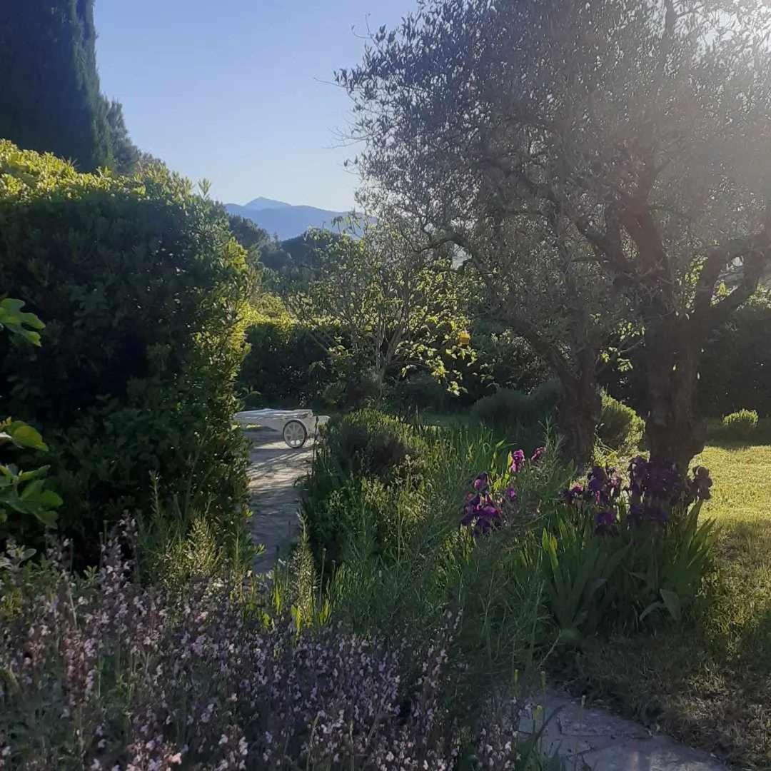 Les Verveines De Vaison エクステリア 写真